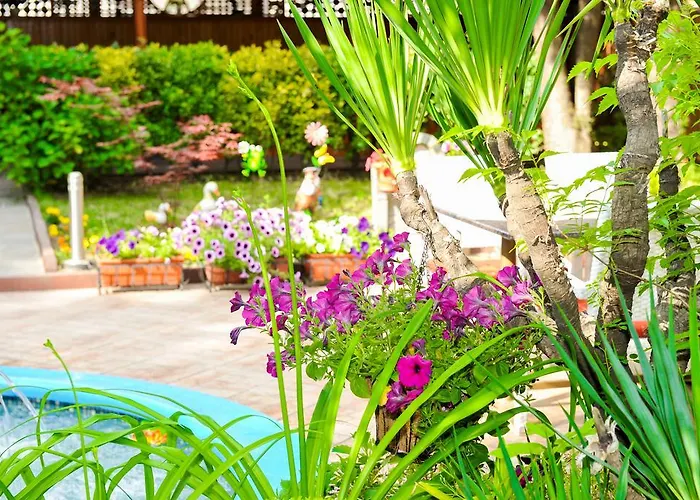 爱神汽车旅馆 汽车旅馆