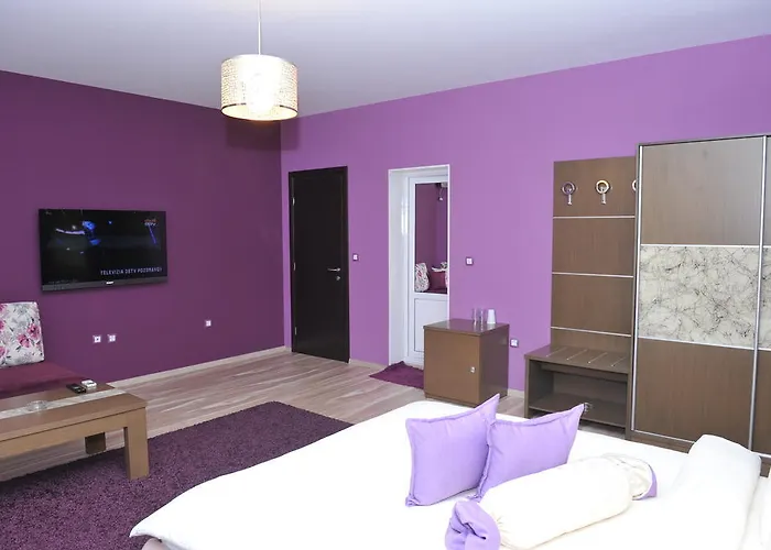 爱神汽车旅馆 桑丹斯基